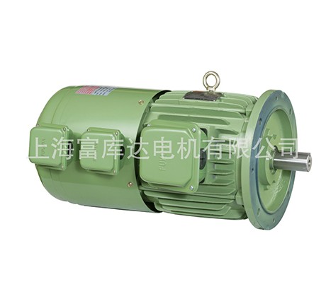 FUKUTA 台湾富田立式变频专用马达 TFVF-7.5KW-4P